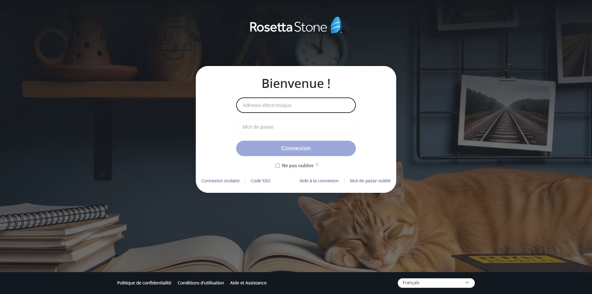 Rosetta Stone