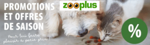 ZOOPLUS, la boutique préférée de nos animaux domestiques